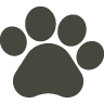 paw-print icon